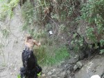 IMG_0345